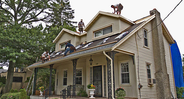 Best Roof Gutter Cleaning  in Ely, IA