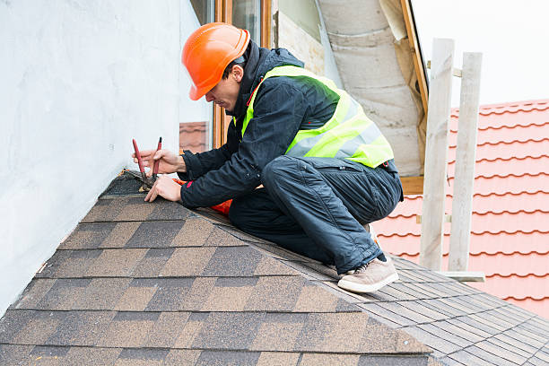 Best Flat Roof Repair Services  in Ely, IA
